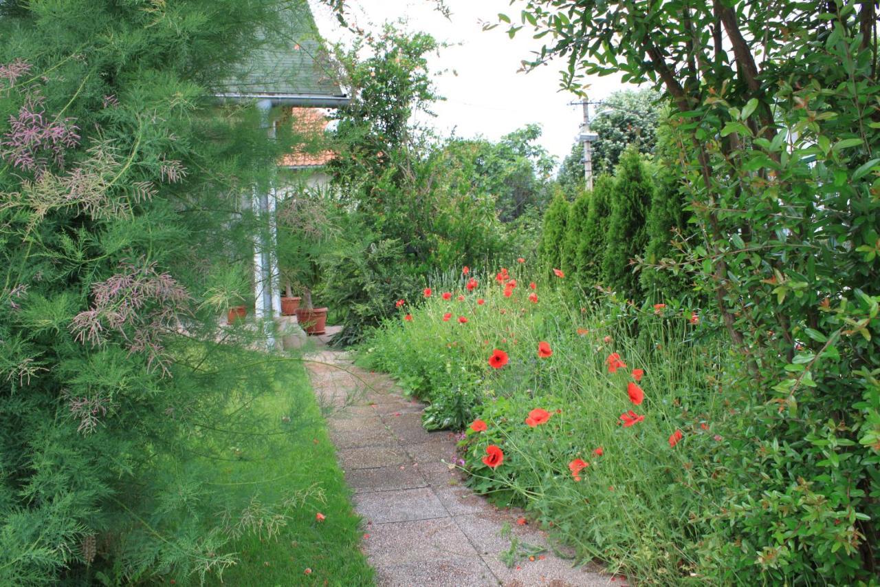 Boulevard Garden House - Free And Save Parking In The Locked Yard Ćuprija 外观 照片