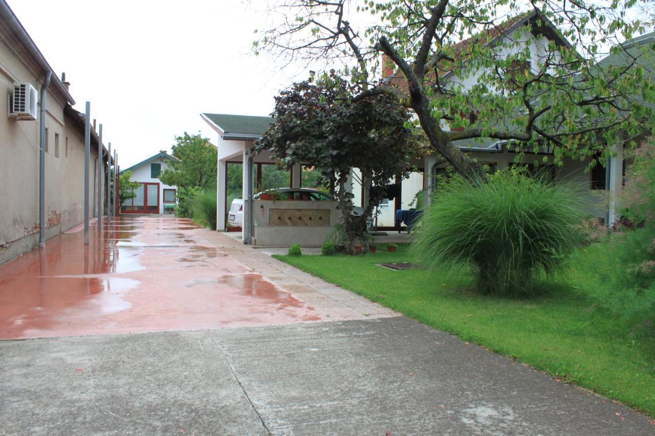 Boulevard Garden House - Free And Save Parking In The Locked Yard Ćuprija 外观 照片